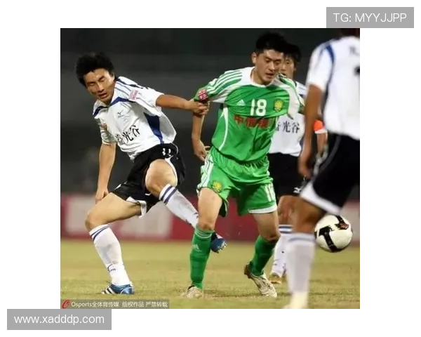 武汉排球队的力量变革引发热议展现团队精神与竞技实力的崛起